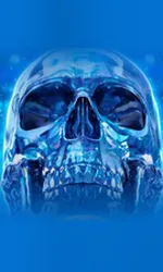 Crystal Skull